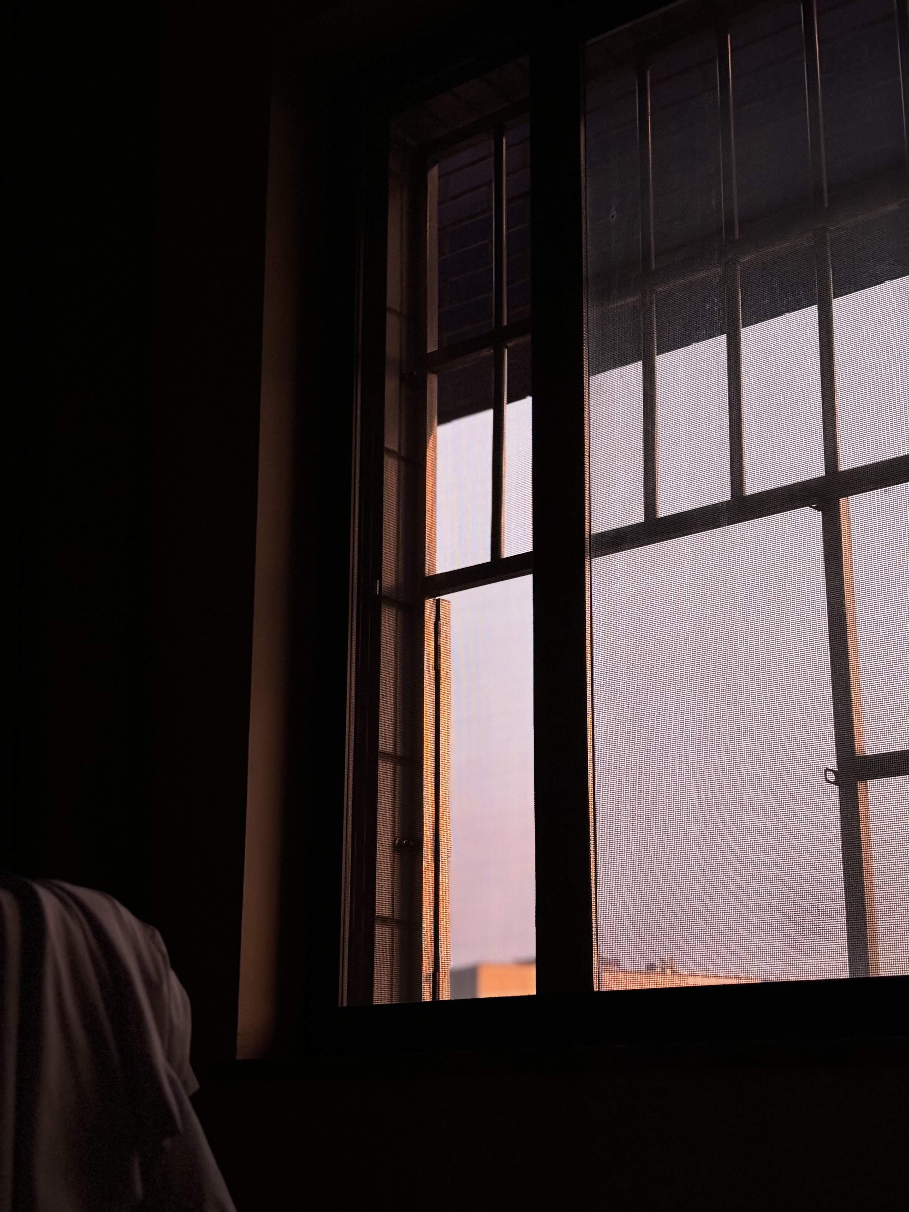morning light